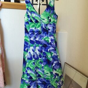 Ralph Lauren Iris Water Color Fit and Flare Dress